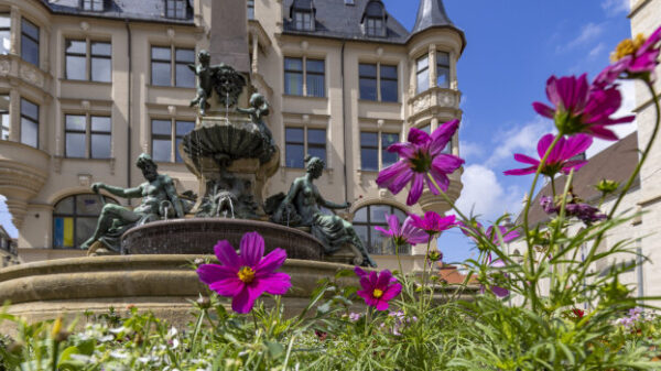 Auch das Beet am alten Angerbrunnen wurde neu bepflanzt. Foto: © Stadtverwaltung Erfurt