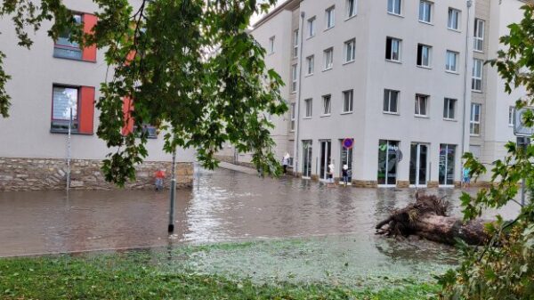 In der Michaelisstraße liefen Gullis über und ein Baum wurde entwurzelt. Foto: © Stadtverwaltung Erfurt