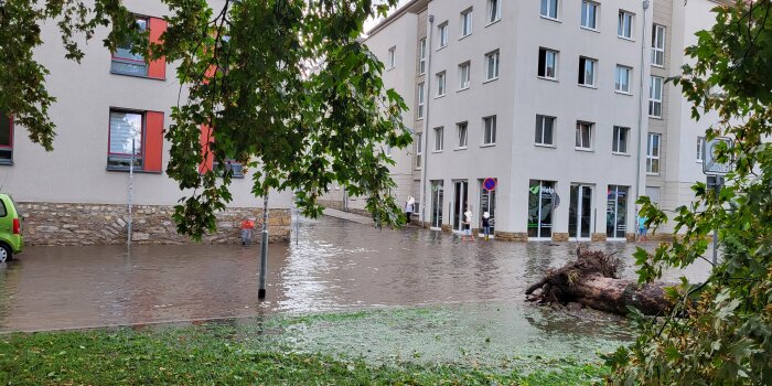 In der Michaelisstraße liefen Gullis über und ein Baum wurde entwurzelt. Foto: © Stadtverwaltung Erfurt
